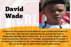 David-Wade