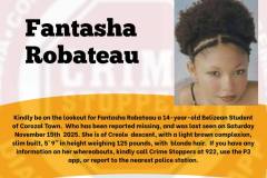 Fantasha-Robateau