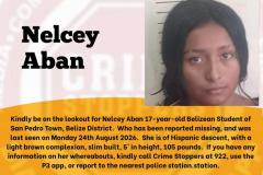 Nelcey-Aban