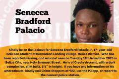 Senecca-Palacio