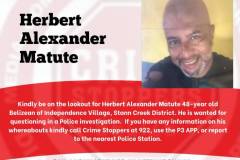 Herbert Alexander Matute