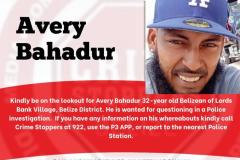 Avery Bahadur