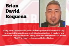 Brian David Requena