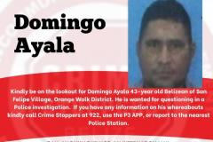 Domingo Ayala