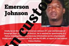Emerson Johnson