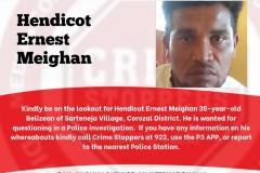 Hendicot-Ernest-Meighan