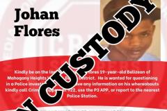 In-Custody-Johan-Flores