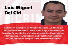 Luis Miguel del Cid
