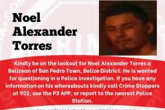 Noel Alexander Torres